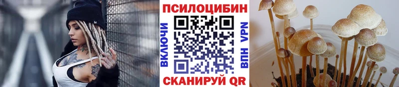 Галлюциногенные грибы Cubensis  shop клад  Павлово 